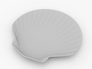 shell plate 3D Model