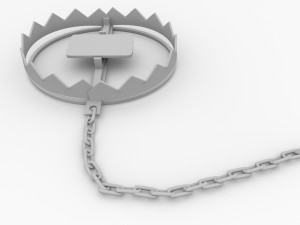 animal trap 3D Модель
