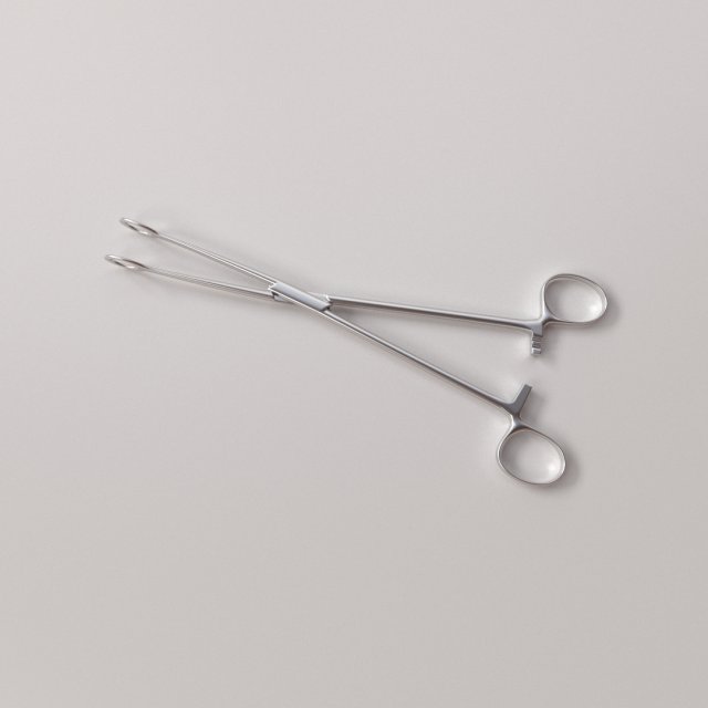 forceps Modelo 3D .c4d .max .obj .3ds .fbx .stl .blend 