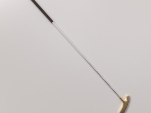 putter 3D Model