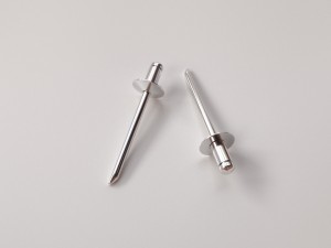 rivet Modèle 3D