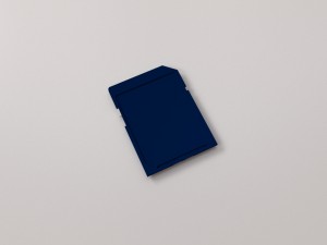 sd card Modello 3D