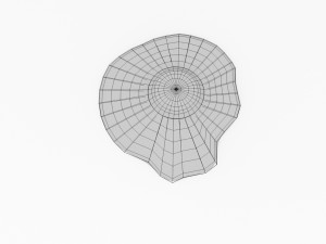 fried egg Model 3D