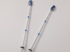 ski poles 3D मॉडल