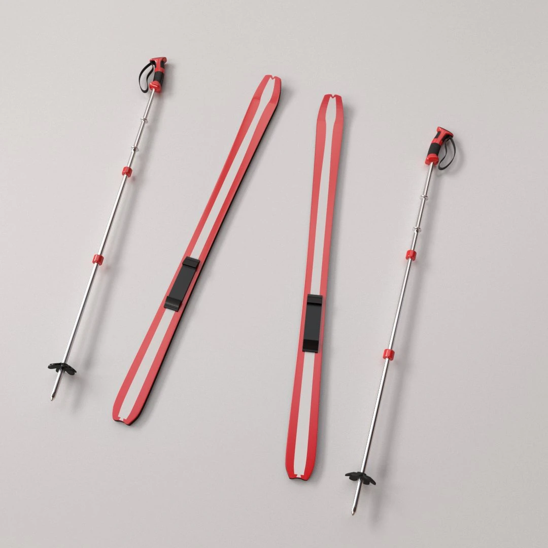 skis and poles 3D Model .c4d .max .obj .3ds .fbx .stl .blend 