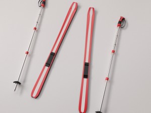 skis and poles 3D Model