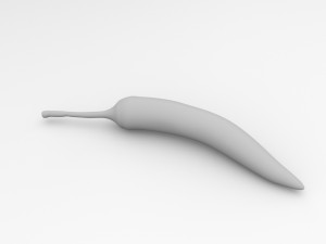 chilli Modelo 3D