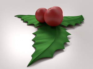 mistletoe 3D Model