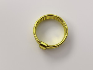 golden ring 3D 모델