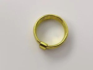 golden ring 3D Model