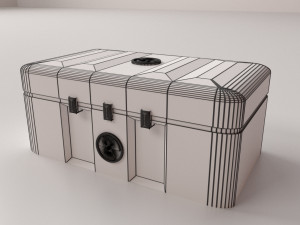 radioactive case Modèle 3D