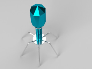 bacteriophage 3D 모델