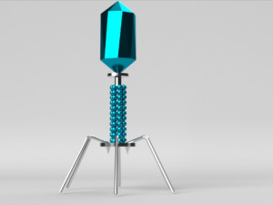 bacteriophage 3D 모델