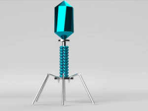 bacteriophage 3D Model