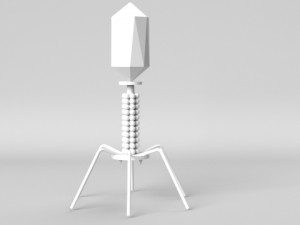 bacteriophage 3D 모델
