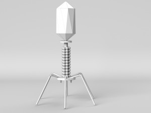 bacteriophage 3D 모델