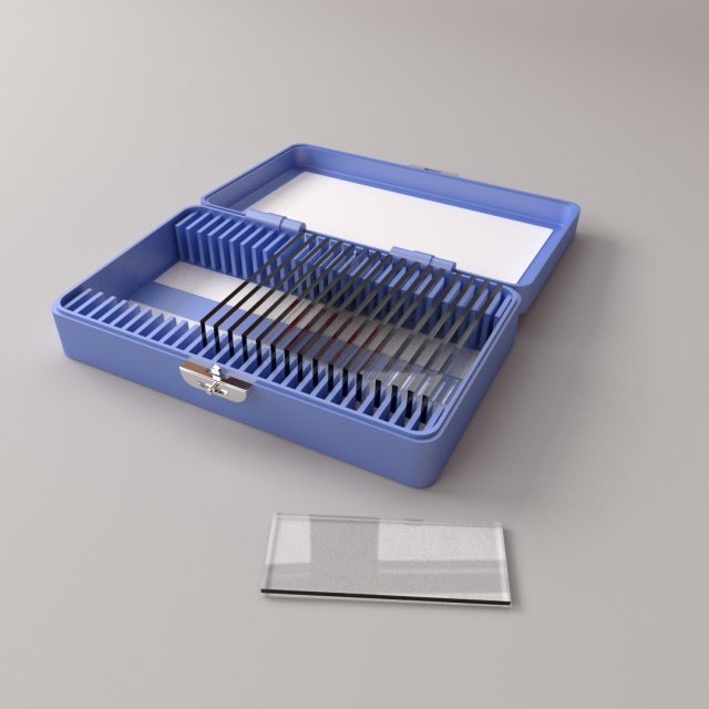 microscope slide box Model 3D .c4d .max .obj .3ds .fbx .stl .blend 