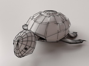 cartoon turtle 3D Model