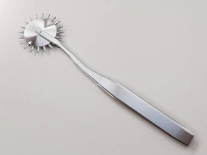 Wartenberg tekerleği 3D Model