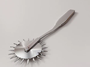 Wartenberg tekerleği 3D Model