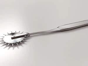 Wartenberg tekerleği 3D Model