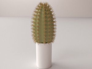 cactus 3D Model
