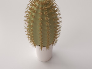 cactus Modelo 3D