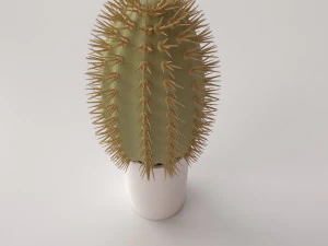 cactus 3D Model