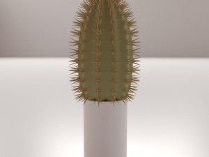 cactus Modelo 3D