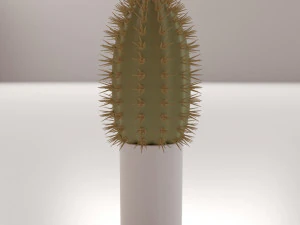cactus 3D Model