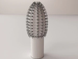 cactus 3D Model