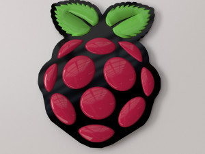 raspberry pi logo Model 3D