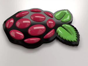 raspberry pi logo 3D Model