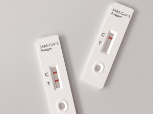 covid-19 rapid test kit 3D Model