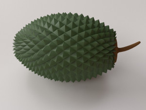 Durian 3D Model