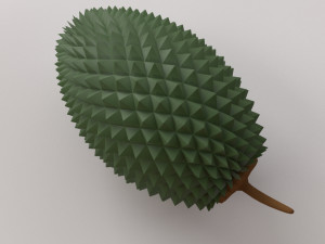 Durian Model 3D