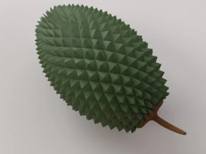 Durian Modello 3D