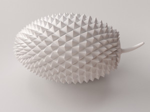 Durian Model 3D