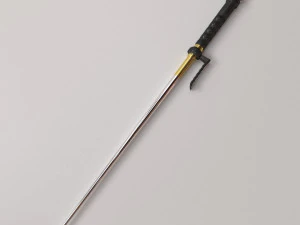 Джітте 3D Модель