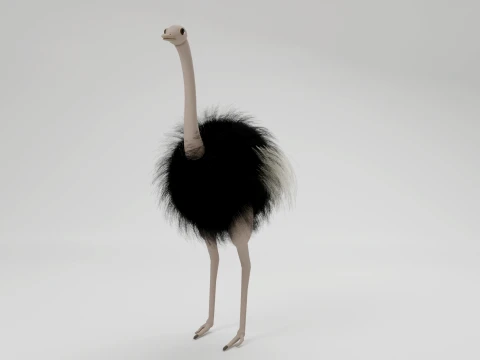 Ostrich 3D Model