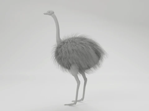 Ostrich 3D Model