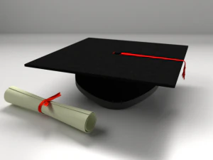 sparviere e pergamene Modello 3D