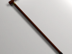 canne da passeggio Modello 3D