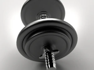 dumbbell 3D Model