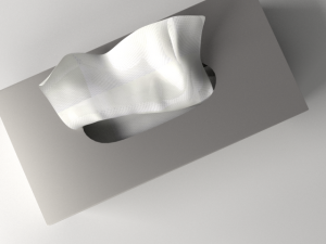 tissue box 3Dモデル