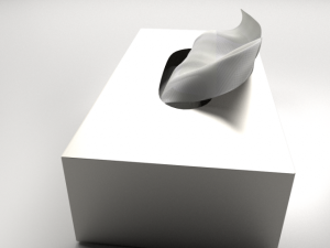 tissue box 3Dモデル