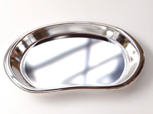 bacino renale Modello 3D