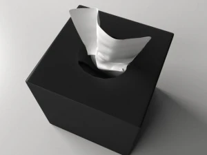 tissue box 2 3D Model