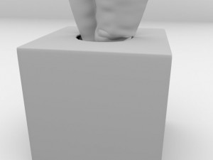 tissue box 2 3D Model