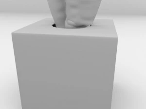 tissue box 2 3D Model